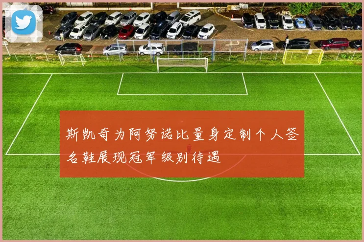 斯凯奇为阿努诺比量身定制个人签名鞋展现冠军级别待遇